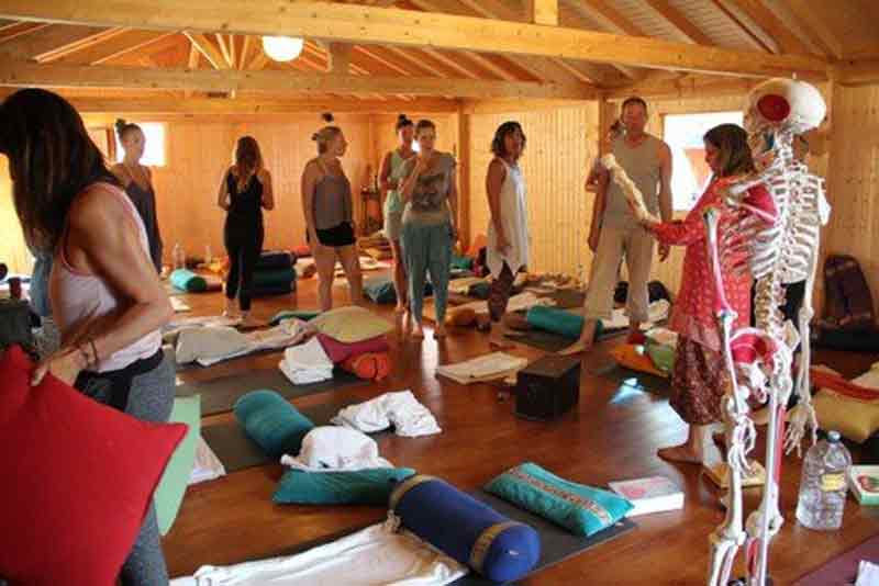 Yin Yoga Courses 2026 Europe