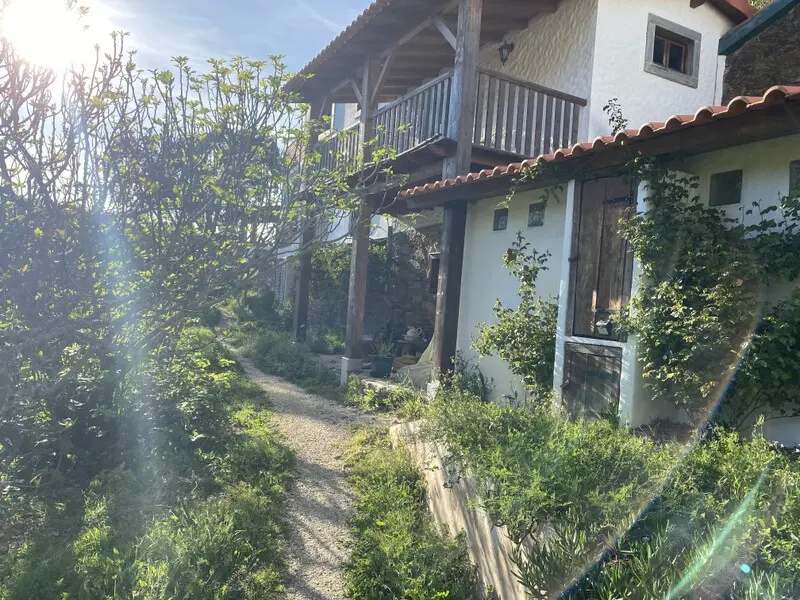 Reserve your place at a yoga and wellness retreat in Portugal featuring daily yoga sessions, guided meditation, healthy vegetarian cuisine, nature-based activities, and comfortable accommodation. Yoga Evolution Retreats provides a welcoming retreat environment for relaxation, stress relief, mindfulness, and holistic wellbeing in the heart of Portugal.