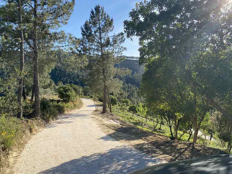 Guests enjoying a peaceful yoga retreat in Portugal surrounded by forests, fresh air, and natural beauty. Yoga Evolution Retreats offers comfortable accommodation, nourishing vegetarian meals, daily yoga and meditation classes, relaxation, and wellness experiences designed to support rest, rejuvenation, and personal wellbeing. Easily book your retreat stay and choose from a range of accommodation options in a tranquil countryside setting.