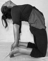 become a yin yoga teacher