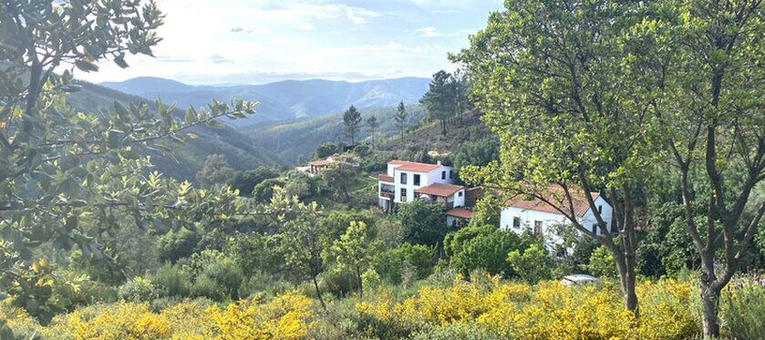 Yoga Retreat Portugal Europe Yoga Retreat Portugal Europe - picture of the gardens