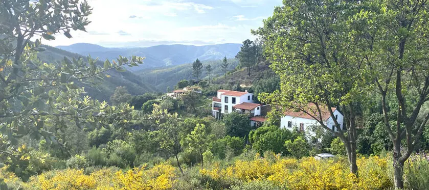 Yoga Retreat Portugal Europe Yoga Retreat Portugal Europe - picture of the gardens